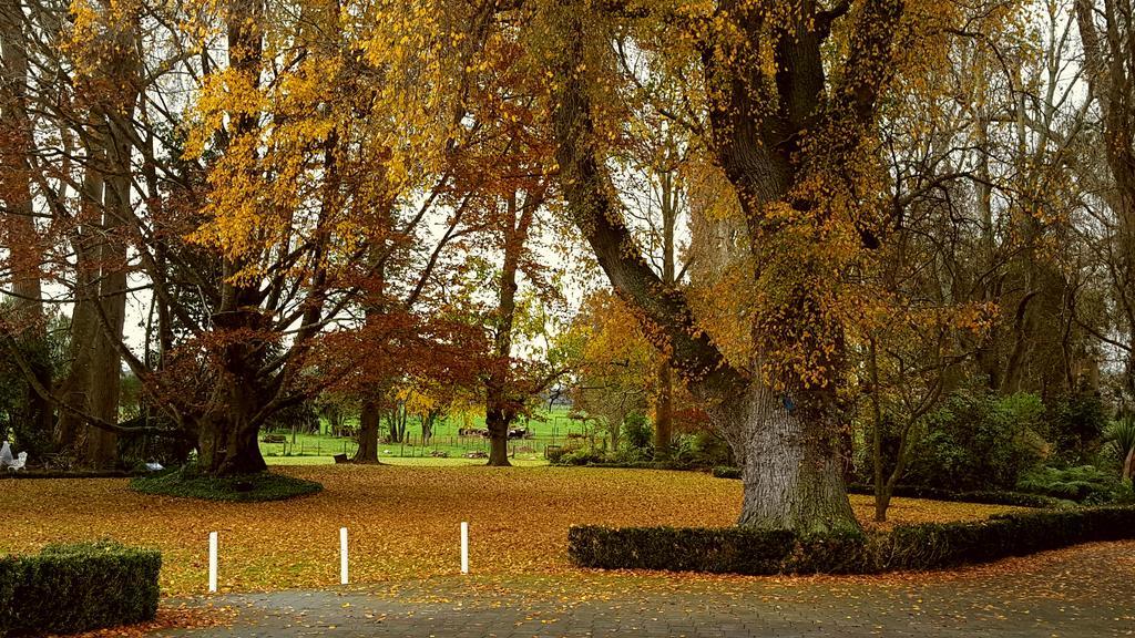 Oak Lane Lodge Гамільтон Екстер'єр фото