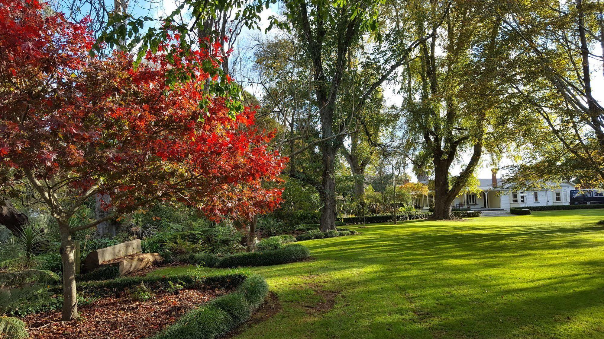 Oak Lane Lodge Гамільтон Екстер'єр фото